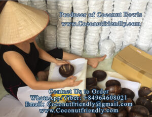 Vietnam Coconut bowls wholesale - coconutfriendly.com