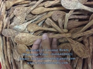 Coconut bowls wholesale - coconutfriendly.com 2