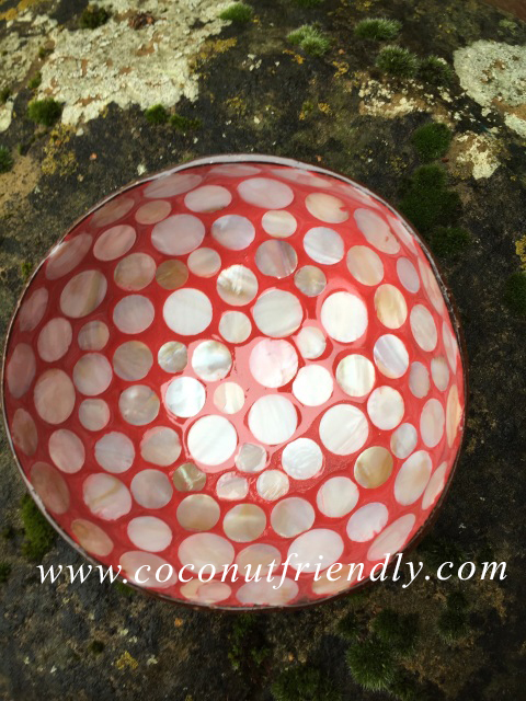 Vietnam Coconut Bowls with Mother of pearls Wholesale (CF_8672)
