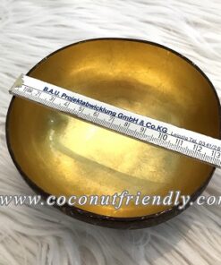 CFCB 1868 -Coconutfriendly.com - Metallic Coconut Bowls for Wholesale