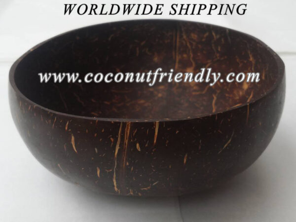Coconutfrienldy.com - wholesale coconut shell bowl