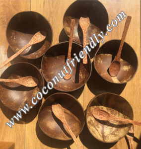 Wholesale Coconut Bowls and Wooden Spoons Set , Wholesale coconut bowls , Wholesale coconut bowls cheap price - Coconutfriendly.com