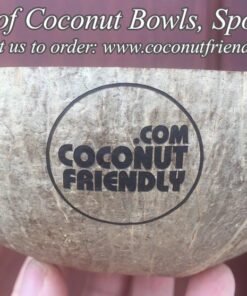CFCB 01 Vietnam coconut shell bowl supplier , Wholesale cheapest coconut bowls in Vietnam