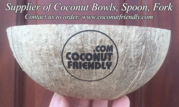 CFCB 01 Vietnam coconut shell bowl supplier , Wholesale cheapest coconut bowls in Vietnam