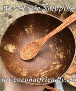 Vietnam coconut shell bowl supplier , Coconut bowls in vietnam , coconut bowls wholesale