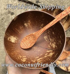 Vietnam coconut shell bowl supplier , Coconut bowls in vietnam , coconut bowls wholesale