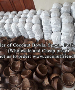 coconut bowls wholesale , coconut bowls in vietnam - coconutfriendly.com