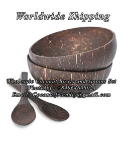Wholesale Coconut Bowls and Wooden Spoons Set , Wholesale coconut bowls , Wholesale coconut bowls cheap price - Coconutfriendly.com