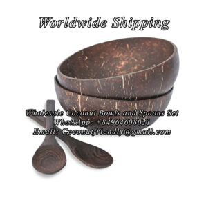 Wholesale Coconut Bowls and Wooden Spoons Set , Wholesale coconut bowls , Wholesale coconut bowls cheap price - Coconutfriendly.com