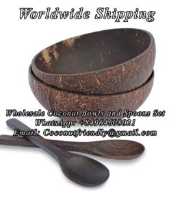 Wholesale Coconut Bowls and Wooden Spoons Set , Wholesale coconut bowls , Wholesale coconut bowls cheap price - Coconutfriendly.com