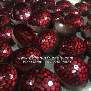 lacquer coconut shell bowls