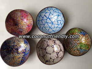 beautiful lacquer coconut shell bowls 