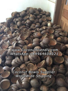 wholesale Lacquer coconut shell bowl in vietnam