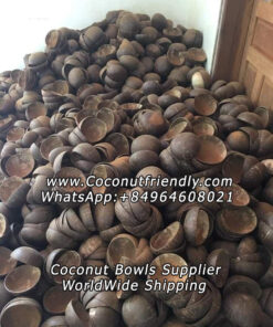 wholesale Lacquer coconut shell bowl in vietnam
