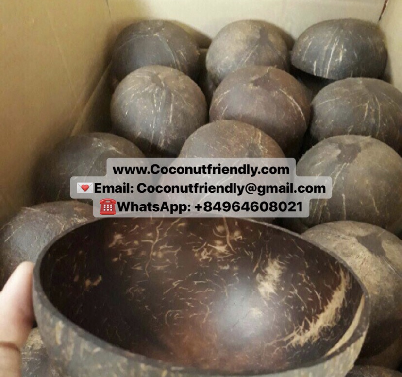 Best Selling Vietnam Unique Eco-Friendly Natural Coconut Shell Bowl