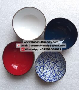 lacquer coconut shell bowls 1