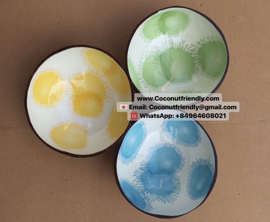 Best Quality Decor Color Coconut Shell Bowls Hanoi Vietnam