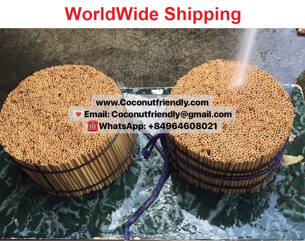Customizable bamboo straws wholesale cheap price 2020