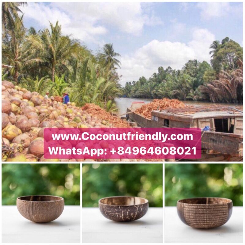 100% Natural Low MOQ Customized Logo Polished Coconut Shell Bowl and coconut spoon from Vietnam Coconut Shell Bowl