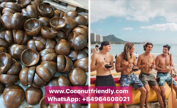 Combo Set Coconut Shell Bowl, Coconut Shell Spoon from Vietnam