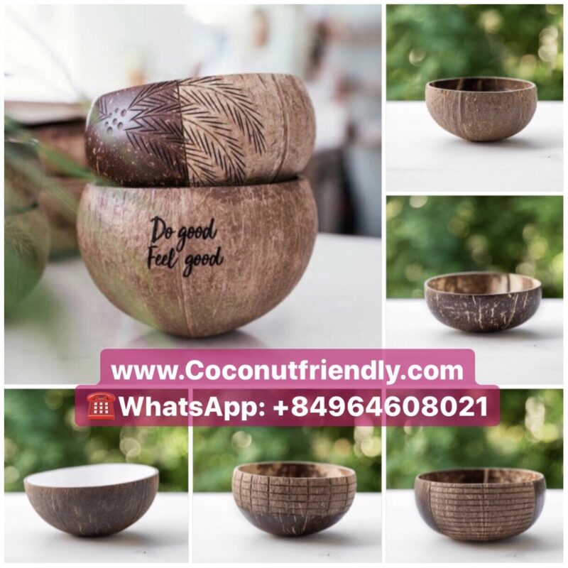 Colorful Pearl Lacquered Coconut Bowl Metallic Vietnam