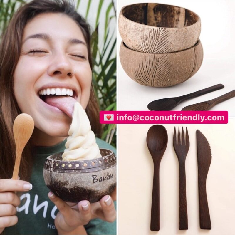 coconut bowls supplier manufacturer