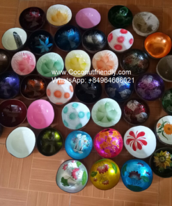 Vietnam Colour Lacquered Coconut Shell Bowls Products Manufacturers
