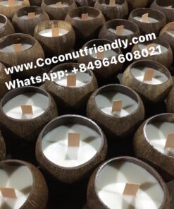 Coconut shell candles wax vietnam