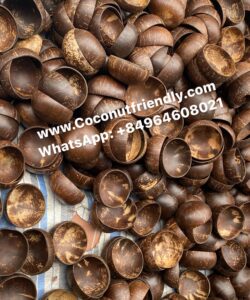 Wholesale coconut shell bowl, bulk coconut shell bowl