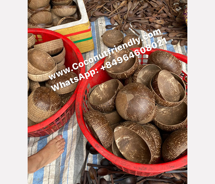 Best Coconut Bowl Wholesale Supplier Made in Vietnam (CF_801)