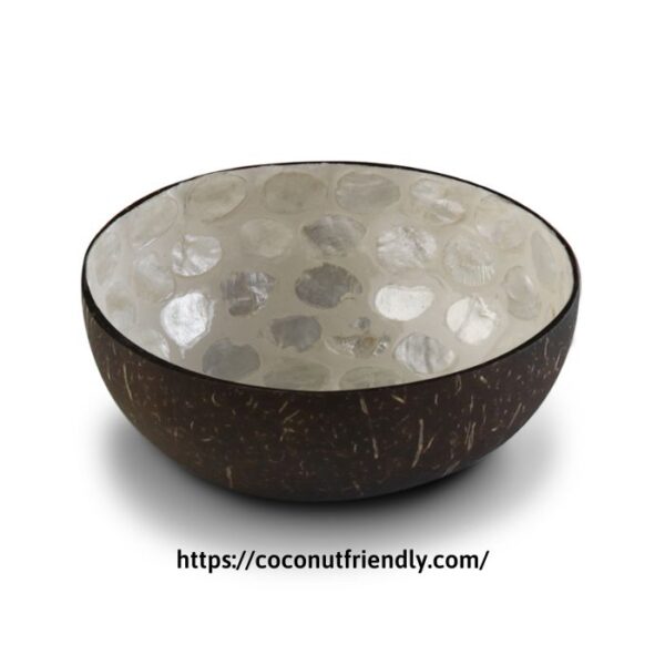 cf8602-coconut_bowls