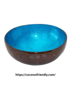 cf8604 Coconut shell bowls wholesale