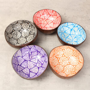 Commercial-use colorful coconut bowls 30