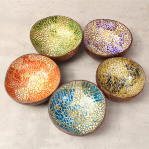 Bulk purchase of waterproof lacquer bowls 22