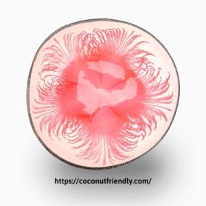 Lacquer-bowls-with-hand-painting-color- in- bulk