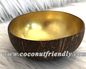 CFCB-1868-Coconutfriendly.com-Metallic-Coconut-Bowls-10