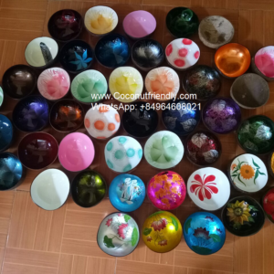 Professional-grade-lacquer-coconut-bowl