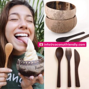 Coconut-bowl-supply- from-vietnam-2