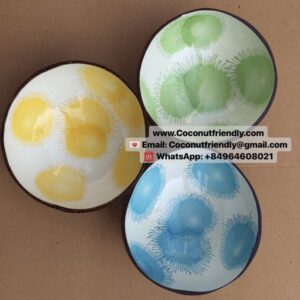 Coconut-shell-bowl-wholesale-for-sales-made-in-vietnam-11