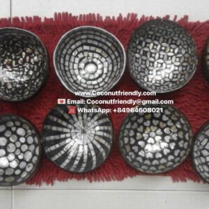 Professional-grade mother of pearl Coconut-Bowls-for-Lacquer 02