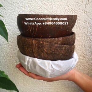 Coconut-shell-bowls- B2B- distribution