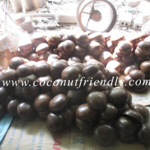 Distributor-ready painted coconut shells 28