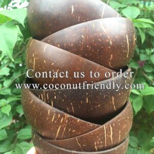 Original-Coconut-Shell-Bowls-Wholesale 12