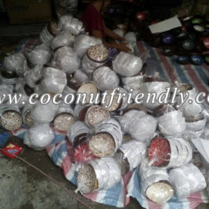 lacquer-coconut-bowls-for-wholesale 96