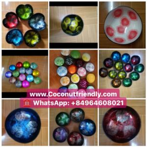 Colorful-lacquer-coconut-bowl