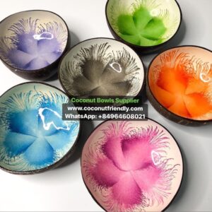 Lacquer-Coconut-bowl-vietnam-handmade-cheap-price-43