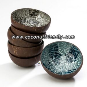 Wholesale premium seashell-decorated bowls 06