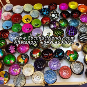 Commercial-use colorful coconut bowls