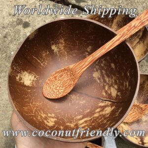 Vietnam-coconut-shell-bowl-supplier-08