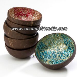 Commercial-grade mother of pearl shellware 04